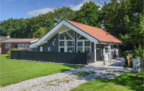 Cozy Home In Hemmet With Kitchen